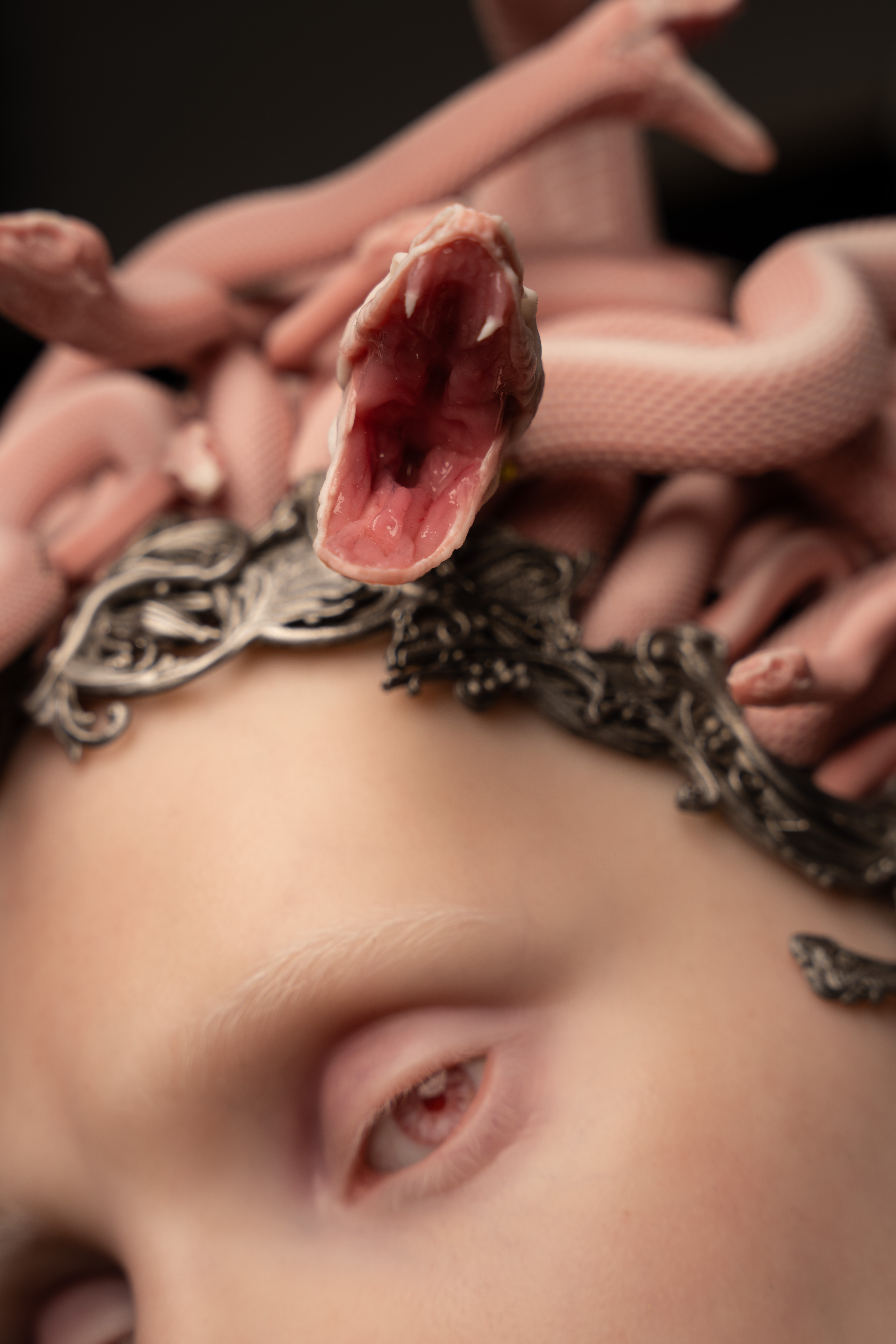 Nahaufnahme eines menschlichen Gesichts mit sehr heller Haut und hellen Augenbrauen. Auf dem Kopf windet sich eine Vielzahl blasser, schlangenartiger Kreaturen, von denen eine mit geöffnetem Maul und sichtbaren Zähnen in den Vordergrund ragt. Zwischen den Schlangen sind metallisch wirkende, ornamentale Elemente eingearbeitet.